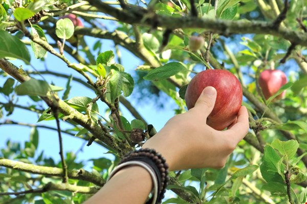 Simpele stapjes op weg naar een duurzamere wereld